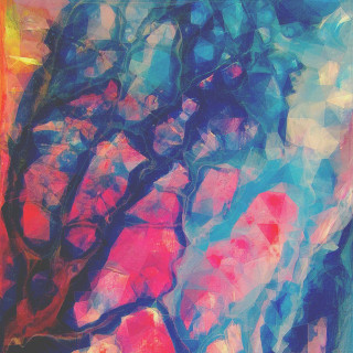 slenderbodies - sotto voce album cover