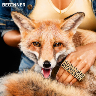 Beginner - Advanced Chemistry album cover