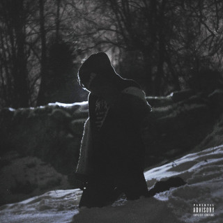 LIZER - DAMN GARDEN mixtape cover