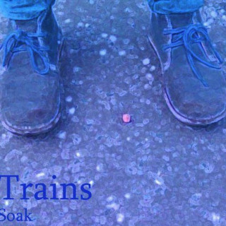 SOAK - Trains single cover