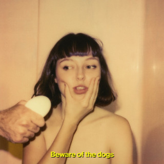 Stella Donnelly - Beware Of The Dogs album cover