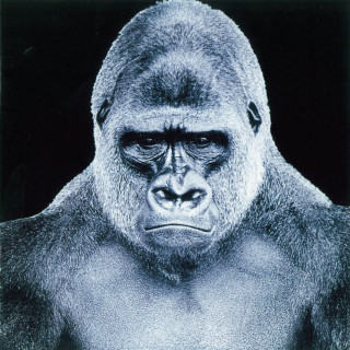 The Screaming Jets - The Screaming Jets album cover