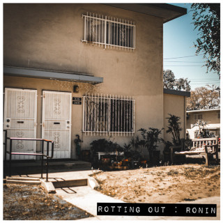 Rotting Out - Ronin album cover