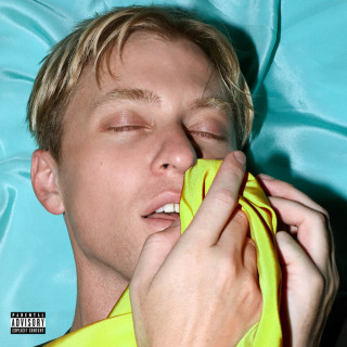 The Drums - Brutalism album cover