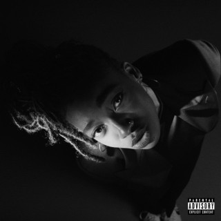 Little Simz - GREY Area album cover