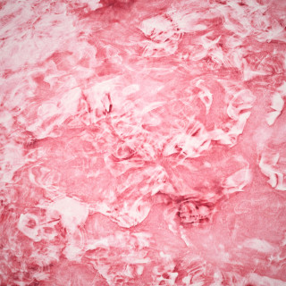 slenderbodies - soraya EP cover