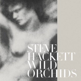 Steve Hackett - Wild Orchids album cover