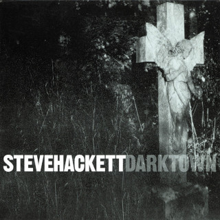 Steve Hackett - Darktown album cover