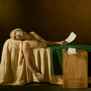 Andrew Bird - My Finest Work Yet album cover