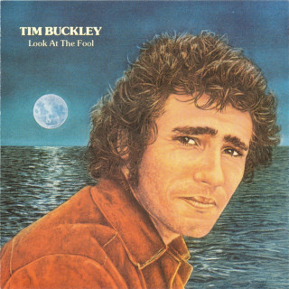 Tim Buckley - Look At The Fool album cover