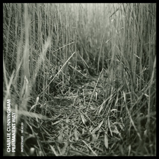 Charlie Cunningham - Permanent Way album cover