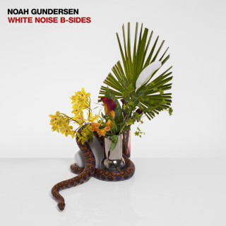 Noah Gundersen - White Noise B-Sides album cover