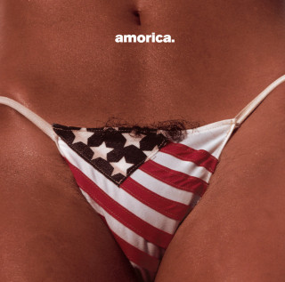 The Black Crowes - Amorica album cover