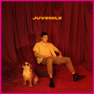 Hugo Helmig - Juvenile album cover