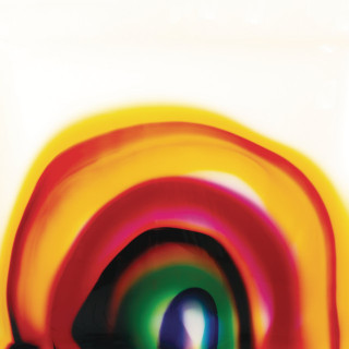 Shy Girls - Bird On The Wing album cover