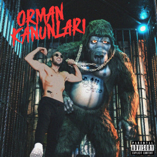 Ben Fero - ORMAN KANUNLARI album cover
