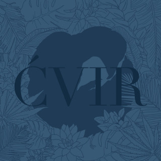 Adi Nowak & barvinsky - Ćvir album cover