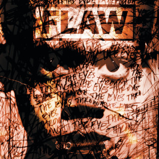 Flaw - Through The Eyes album cover