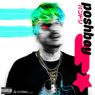 ITSOKTOCRY - POSHBOY! album cover