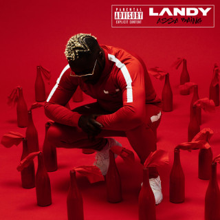 Landy - Assa Baing album cover
