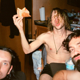 Dinosaur Pile-Up - Celebrity Mansions album cover