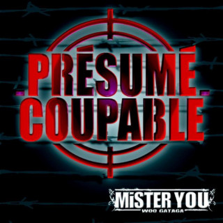 Mister You - Présumé Coupable mixtape cover