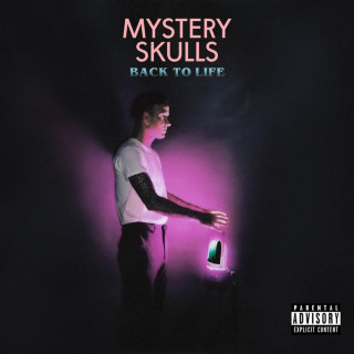 Mystery Skulls - Back To Life album cover