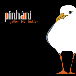 Pinhani - Yollar Bizi Bekler album cover