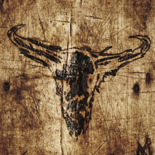 Upon A Burning Body - Southern Hostility album cover