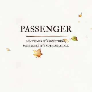 Passenger - Sometimes It's Something, Sometimes It's Nothing At All album cover
