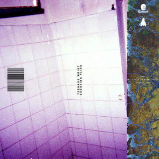 Teenage Wrist - Counting Flies EP cover