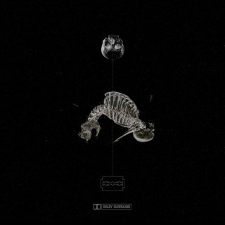 shinigami - occam's razor album cover