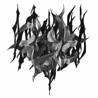 Yves Tumor - When Man Fails You album cover