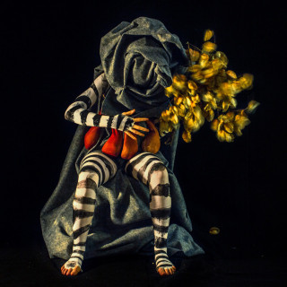 Starbenders - Heavy Petting album cover