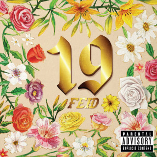 Feid - 19 album cover