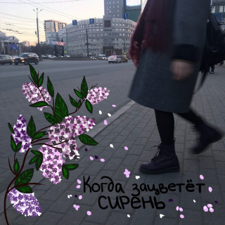 alyona shvets. (алёна швец.) - Когда Зацветёт Сирень album cover