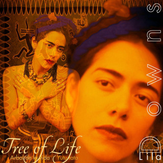 Lila Downs - Árbol De La Vida (Tree Of Life) album cover