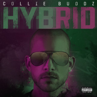 Collie Buddz - Hybrid album cover