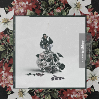 CalBoy - Wildboy EP cover