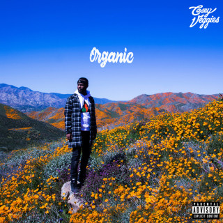 Casey Veggies - Organic album cover