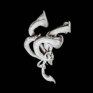 Pixies - Beneath The Eyrie album cover