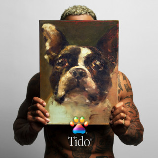 Bizzey - Tido album cover