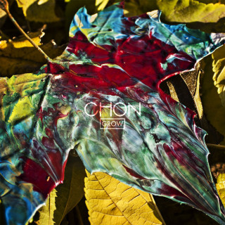 Chon - Grow album cover