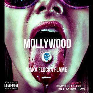 Waka Flocka Flame & French Montana - Mollywood soundtrack cover