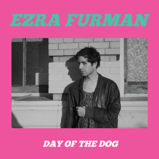Ezra Furman - Day Of The Dog album cover