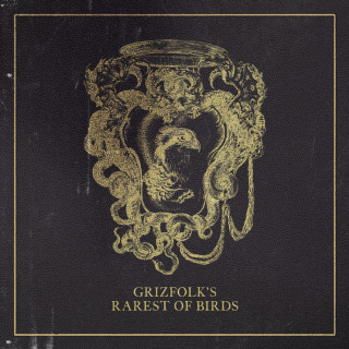 Grizfolk - Rarest Of Birds album cover