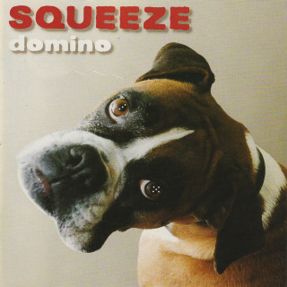 Squeeze - Domino album cover