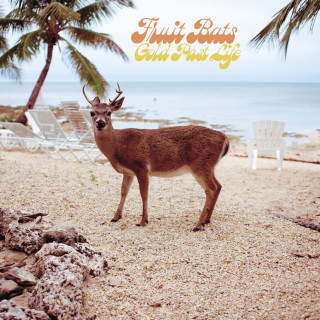 Fruit Bats - Gold Past Life album cover