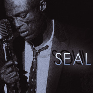 Seal - Soul album cover