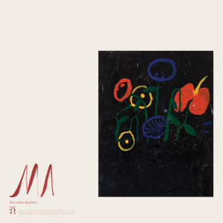 Devendra Banhart - Ma album cover